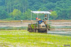 新质生产力领航青秀智慧农业好“丰”景